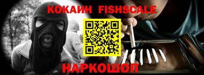 стаф Кингисепп
