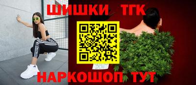 стаф Кингисепп