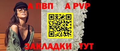 стаф Кингисепп