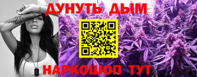 стаф Кингисепп
