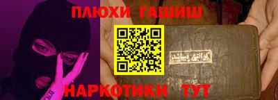 стаф Кингисепп